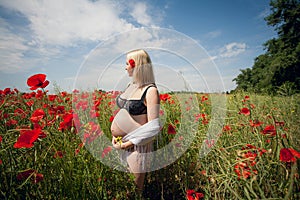 pregnant girl in black lingerie stands in a picturesque meadow with poppy flowers