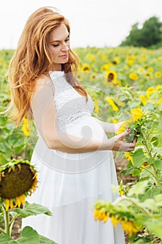 Pregnant girl in the field with sunflowers