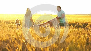 Pregnant mom and dad are holding the blanket at the yellow rye field