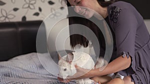 Pregnant Mother laying with her baby son and chinchilla animal on the bedroom bed playing and having fun - Asian mixed