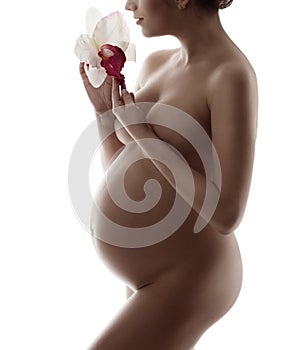 Pregnant naked woman belly, pregnancy body beauty