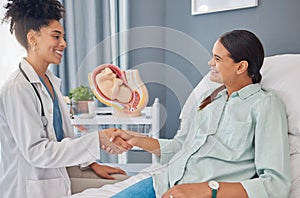 Pregnant patient, doctor or gynecologist shaking hands for welcome, thank you and hello greeting Pregnancy maternity