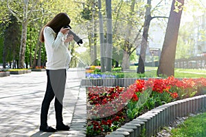 Pregnant photographer at work taking picture