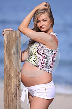 Pregnant woman on beach