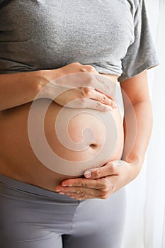 Pregnant woman belly. Pregnancy concept