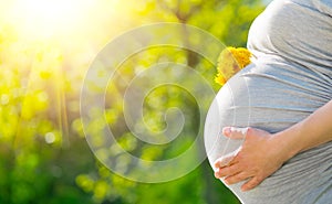 Pregnant Woman Belly. Pregnancy Concept. Over green nature blurred Background. Pregnant tummy close up