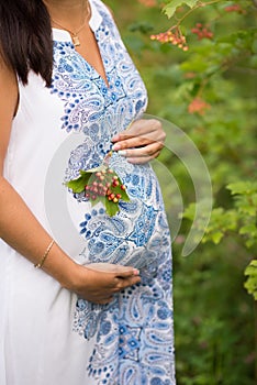 Pregnant Woman Belly. Pregnancy Concept. Over green nature blurred Background. Pregnant tummy close up. Expectant female touching