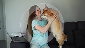 Pregnant woman with Corgi dog working online with laptop during pregnancy. 4k video girl hug and play with lovely Welsh