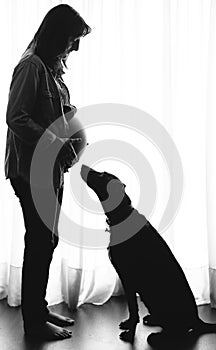 Pregnant woman and dog