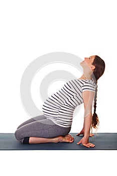 Pregnant woman doing yoga asana Ustrasana