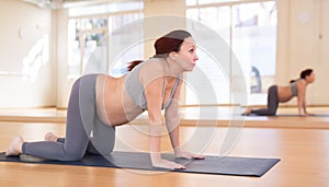 Pregnant woman is engaged in yoga. Cat Pose or Marjariasana