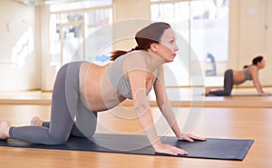 Pregnant woman is engaged in yoga. Cat Pose or Marjariasana