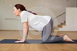 Pregnant woman is engaged in yoga. Cat Pose or Marjariasana