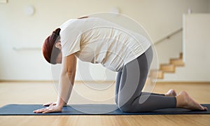 Pregnant woman is engaged in yoga. Cat Pose or Marjariasana