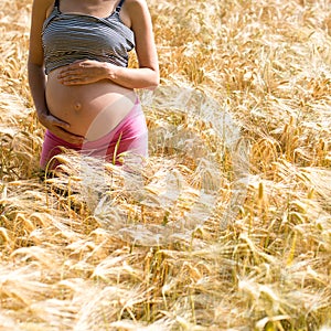 Pregnant woman in a field of golden wheat