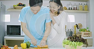 Pregnant woman and her husband preparing healthy food together in kitchen at home.