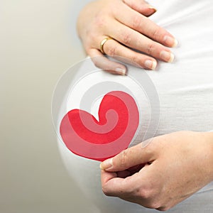 Pregnant woman holding in hand red heart. Unborn baby in the belly of pregnant woman.