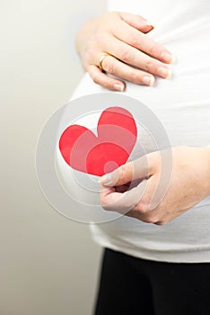 Pregnant woman holding in hand red heart. Unborn baby in the belly of pregnant woman.