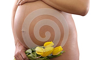 Pregnant woman holding her belly with yellow tulip