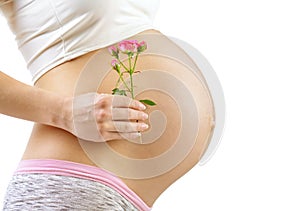 Pregnant Woman holding her hands with flower on her baby bump.