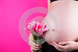 Pregnant woman is holding tender bouquet of tulips in her hand near belly on pink background