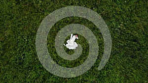 Pregnant Woman Lies In Field In Grass In A White Dress. Romantic Woman Top View