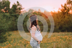 pregnant woman profile silhouette outside sunset