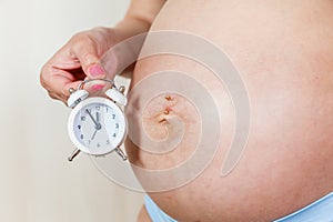 Pregnant woman's belly closeup