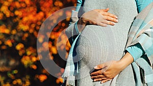 Pregnant woman's belly over autumn background. Pregnant woman in touching big belly with hands