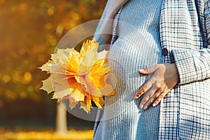 Pregnant woman's belly over autumn background. Pregnant woman in touching big belly with hands. Baby expectation
