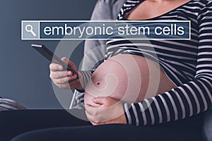 Pregnant woman searching web for embryonic stem cells