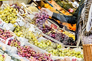 Pregnant woman shopping groceries on farmers market