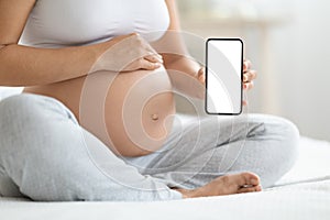 Pregnant woman showing mobile phone with empty display, copy space