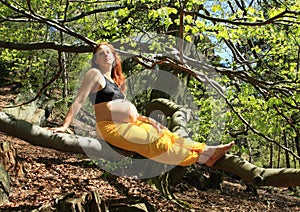 Pregnant woman sitting on branch