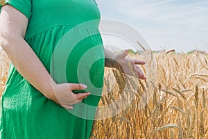 Pregnant woman stand at the wheat field