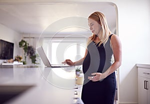 Pregnant Woman Standing By Kitchen Counter Working From Home On Laptop