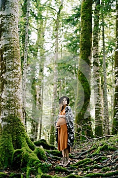 Pregnant woman stands on the roots of a tree in a birch grove in the park