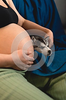 A pregnant woman stroking a dog sleeping near her belly. A dog that loves children.