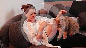 Pregnant woman is stroking the red caressing cat sitting at her legs