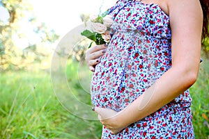 Pregnant woman in a summer park