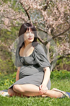 Pregnant woman under blossom apple tree