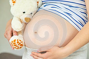 Pregnant woman and white teddy bear. Selective focus