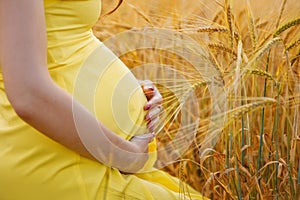 A pregnant woman in a yellow dress touches her belly in close-up on an orange wheat field on a Sunny summer day. Nature in the