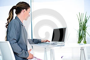 pregnantbusiness woman typing on her laptop