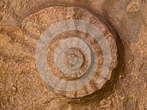 Prehistoric ammonite fossilized imprint on stone