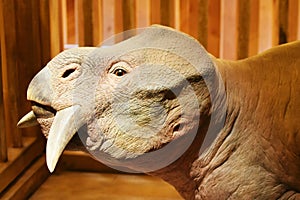 Prehistoric Animal - The Ark Encounter