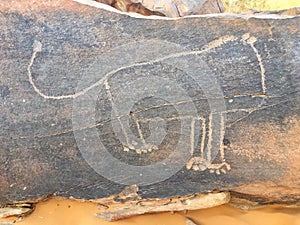 Prehistoric area in Taghit, Algeria.