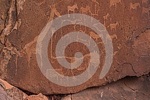 Prehistoric Bushman engravings, rock painting at Twyfelfontein, Namibia - Lion and other animals