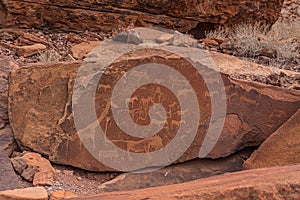 Prehistoric Bushman engravings, rock painting at Twyfelfontein, Namibia - Lion Plate and other animals and symbols