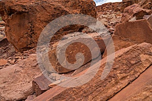 Prehistoric Bushman engravings, rock painting at Twyfelfontein, Namibia - Lion Plate and other animals and symbols